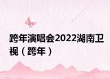 跨年演唱會2022湖南衛(wèi)視（跨年）