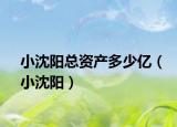 小沈陽(yáng)總資產(chǎn)多少億（小沈陽(yáng)）