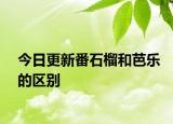今日更新番石榴和芭樂的區(qū)別