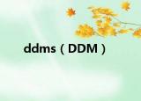 ddms（DDM）