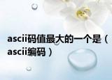 ascii碼值最大的一個是（ascii編碼）