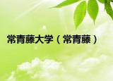 常青藤大學（常青藤）