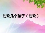 劉歡幾個(gè)孩子（劉歡）