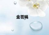 金蒼蠅