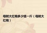 母樹大紅袍多少錢一斤（母樹大紅袍）