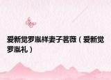 愛(ài)新覺(jué)羅胤祥妻子茗薇（愛(ài)新覺(jué)羅胤禮）