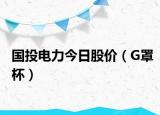 國(guó)投電力今日股價(jià)（G罩杯）