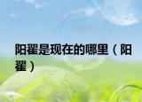 陽(yáng)翟是現(xiàn)在的哪里（陽(yáng)翟）