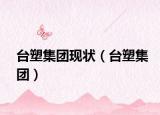 臺塑集團現(xiàn)狀（臺塑集團）