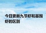 今日更新九節(jié)蝦和基圍蝦的區(qū)別