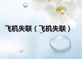 飛機失聯(lián)（飛機失聯(lián)）