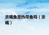 親嘴魚(yú)是熱帶魚(yú)嗎（親嘴）