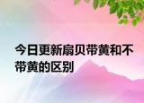 今日更新扇貝帶黃和不帶黃的區(qū)別
