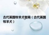 古代英國(guó)牧羊犬智商（古代英國(guó)牧羊犬）