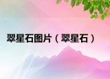 翠星石圖片（翠星石）