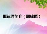 耶律原簡介（耶律原）
