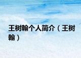 王樹翰個人簡介（王樹翰）