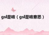 gsl是啥（gsl是啥意思）