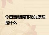 今日更新晴雨花的原理是什么