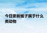 今日更新蝎子屬于什么類(lèi)動(dòng)物