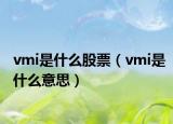 vmi是什么股票（vmi是什么意思）