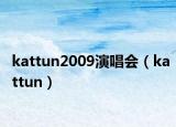 kattun2009演唱會(huì)（kattun）