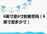 6英寸是6寸的意思嗎（6英寸是多少寸）