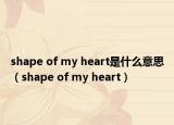 shape of my heart是什么意思（shape of my heart）