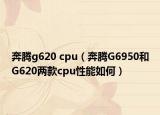 奔騰g620 cpu（奔騰G6950和G620兩款cpu性能如何）