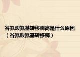 谷氨酸氨基轉(zhuǎn)移酶高是什么原因（谷氨酸氨基轉(zhuǎn)移酶）