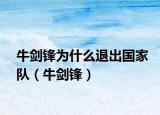 牛劍鋒為什么退出國家隊（牛劍鋒）