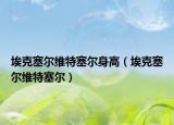 ?？巳麪柧S特塞爾身高（?？巳麪柧S特塞爾）