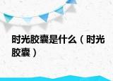 時(shí)光膠囊是什么（時(shí)光膠囊）