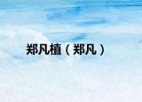 鄭凡植（鄭凡）