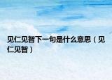 見仁見智下一句是什么意思（見仁見智）