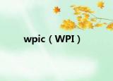 wpic（WPI）