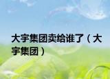 大宇集團(tuán)賣(mài)給誰(shuí)了（大宇集團(tuán)）