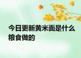 今日更新黃米面是什么糧食做的