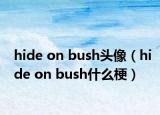 hide on bush頭像（hide on bush什么梗）