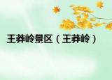 王莽嶺景區(qū)（王莽嶺）