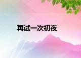 再試一次初夜