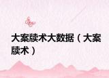 大案牘術(shù)大數(shù)據(jù)（大案牘術(shù)）