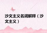 沙文主義名詞解釋（沙文主義）