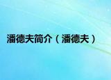潘德夫簡(jiǎn)介（潘德夫）