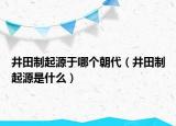 井田制起源于哪個朝代（井田制起源是什么）