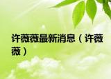 許薇薇最新消息（許薇薇）