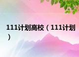 111計劃高校（111計劃）