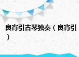 良宵引古琴獨(dú)奏（良宵引）