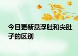 今日更新懸浮肚和尖肚子的區(qū)別