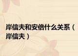 岸信夫和安倍什么關(guān)系（岸信夫）